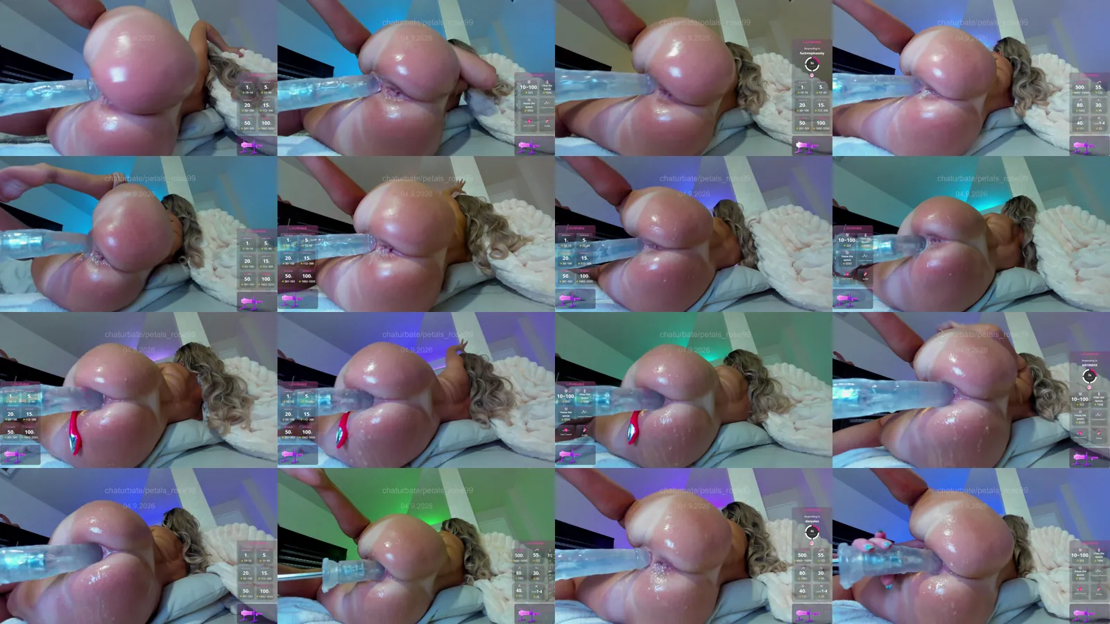 petals_rose99 camshow